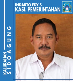 Kepala Seksi Pemerintahan